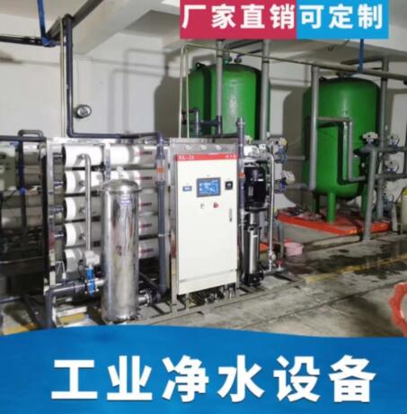 雙極反滲透RO純水設(shè)備